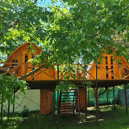 Cabanas Penaflor Glamping Bagian luar foto