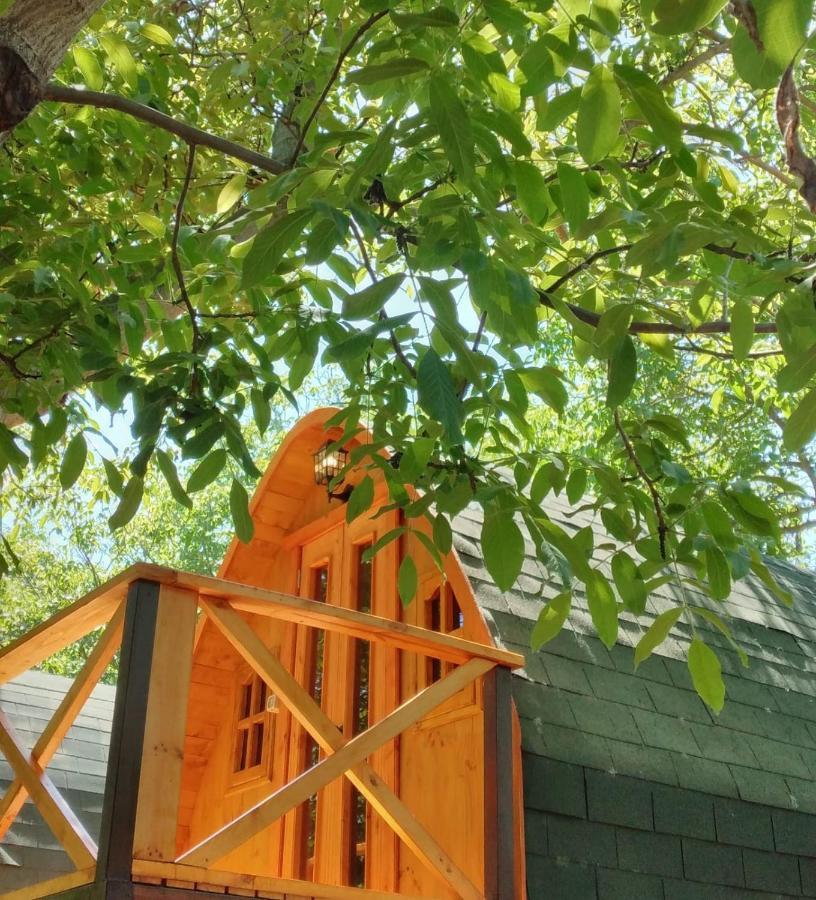 Cabanas Penaflor Glamping Bagian luar foto